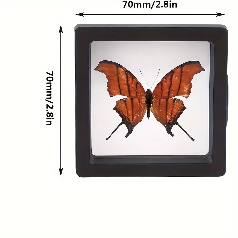 20Pcs Clearview 3D Floating Di - Jewelry Making Box ulasan dan harga